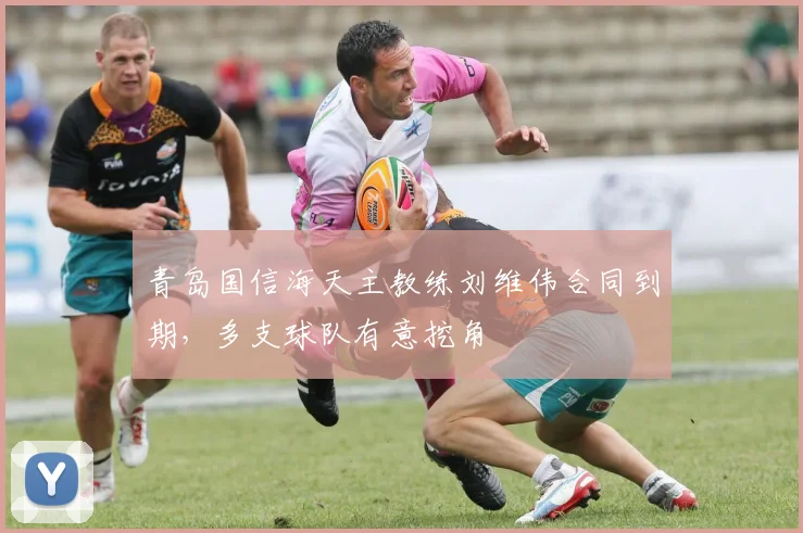 青岛国信海天主教练刘维伟合同到期,多支球队有意挖角